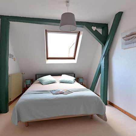 Appartement La Grande Terrasse Du Centre 科尔马 外观 照片