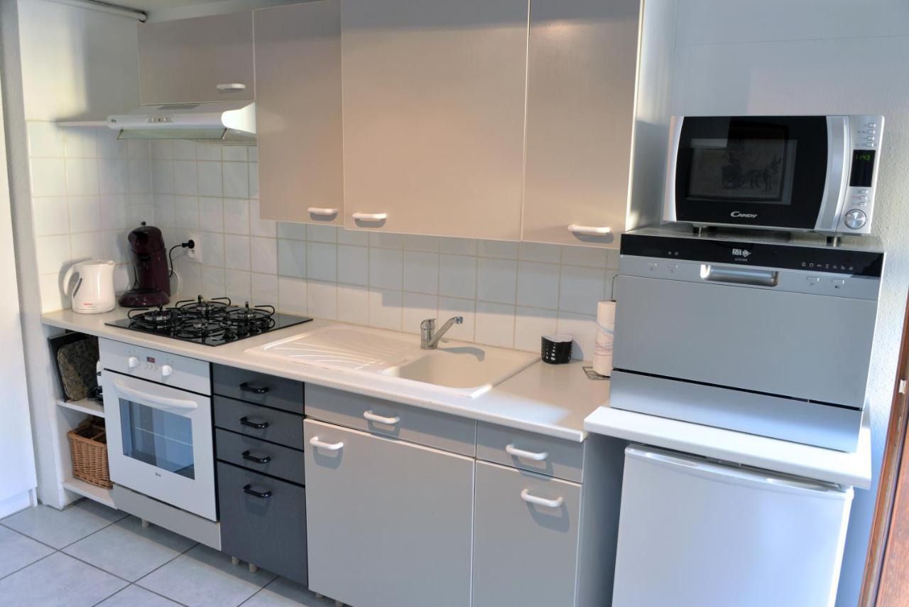Appartement La Grande Terrasse Du Centre 科尔马 客房 照片