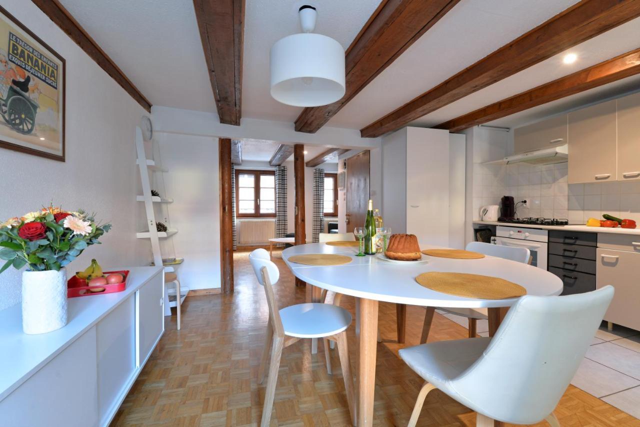 Appartement La Grande Terrasse Du Centre 科尔马 外观 照片