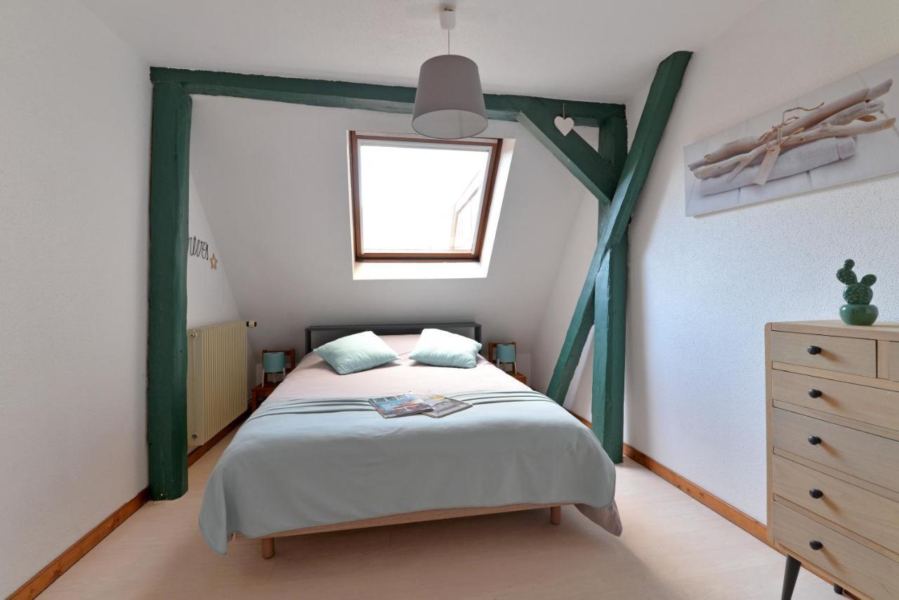 Appartement La Grande Terrasse Du Centre 科尔马 外观 照片