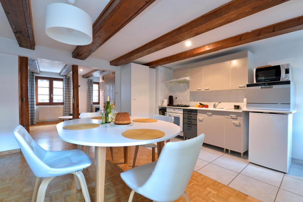 Appartement La Grande Terrasse Du Centre 科尔马 外观 照片