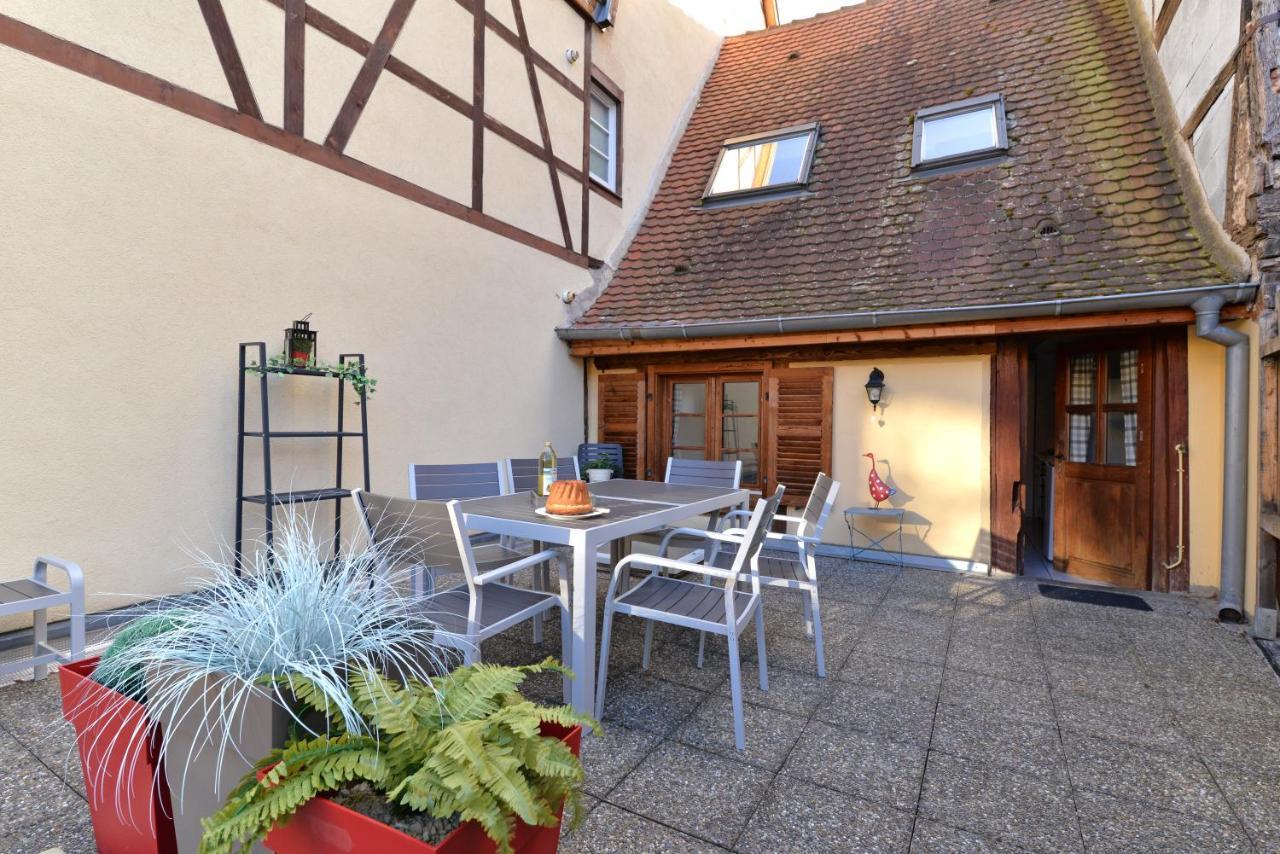 Appartement La Grande Terrasse Du Centre 科尔马 外观 照片